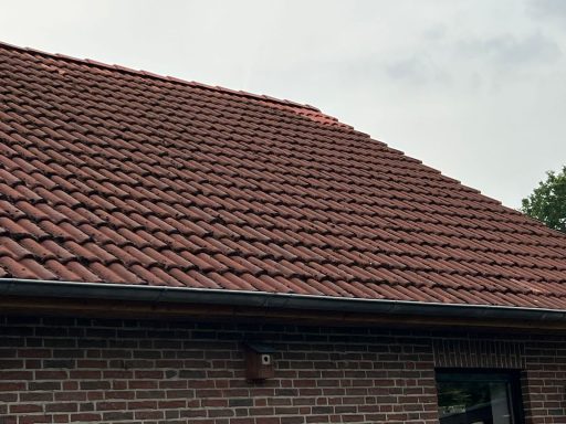 Dachreinigung